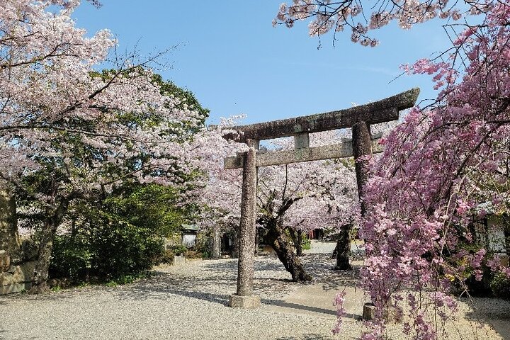 Visite privée d'histoire et de culture de 2,5 heures au château de Himeji
