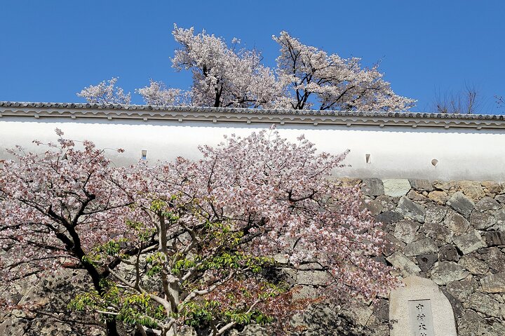 Visite privée d'histoire et de culture de 2,5 heures au château de Himeji