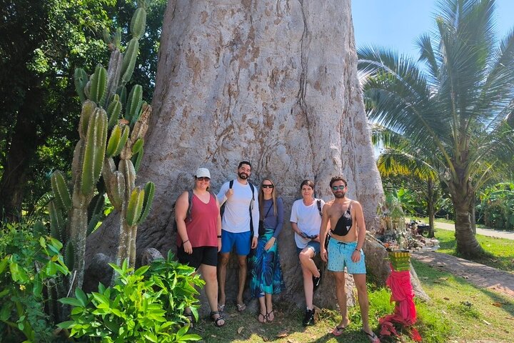 Viaje de un día por Koh Phangan (grupo privado)