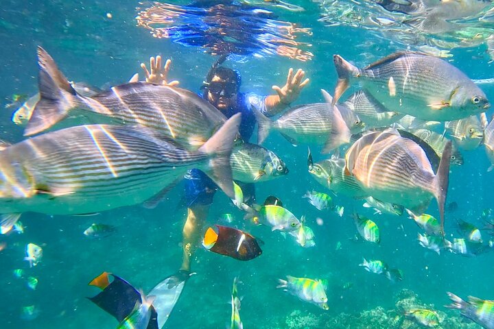 Hotéis próximos a: Los Arcos Snorkeling Adventure, Colomitos & Las Animas Beach