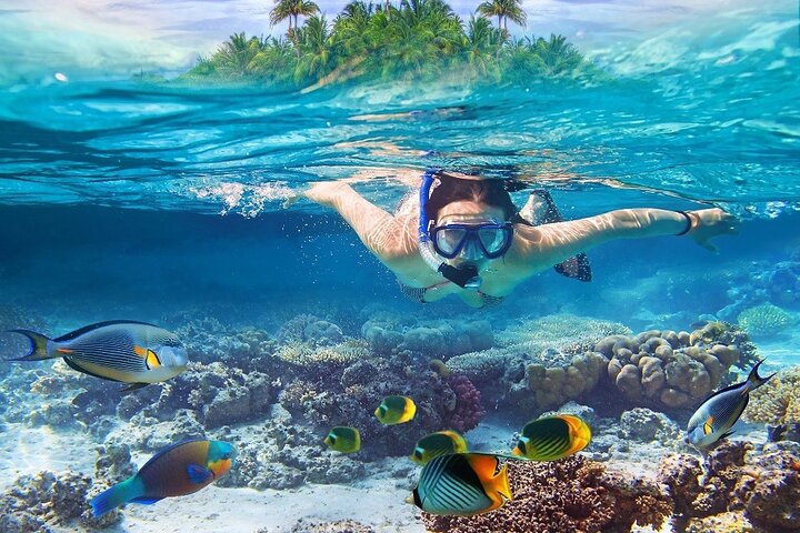 3 islands Tour with snorkelling ,Pigs, Turtles & beach club lunch
