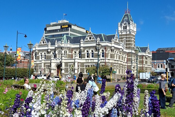 Private Dunedin & Otago Peninsula Tours Opptil 4 personer