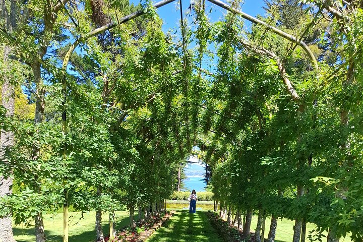 Private Dunedin & Otago Peninsula Tours Opptil 4 personer