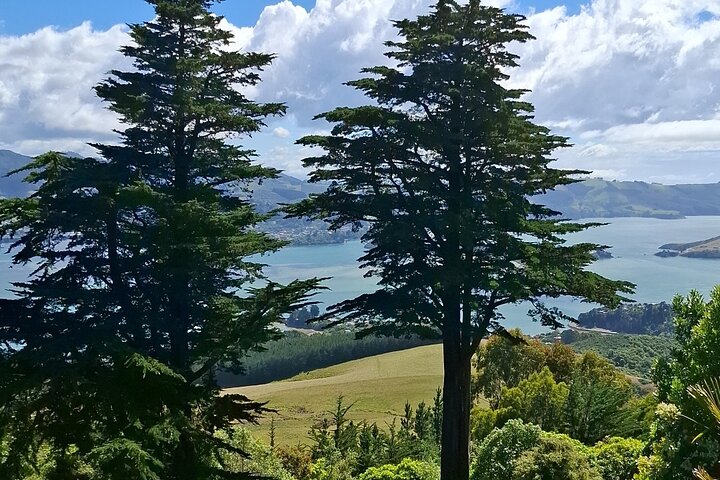 Private Dunedin & Otago Peninsula Tours Opptil 4 personer
