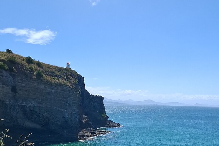 Private Dunedin & Otago Peninsula Tours Opptil 4 personer
