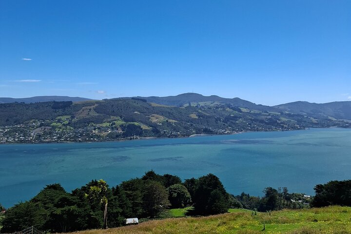Private Dunedin & Otago Peninsula Tours Opptil 4 personer
