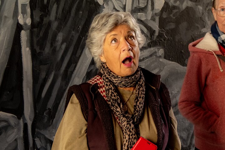 Tour privado de la historia oscura de Ennis con la Dra. Jane O'Brien (1-6 personas)