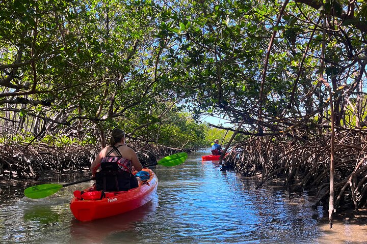 Bonita Springs Eco Kayak tur – beste utstyr, premium og klare kajakker