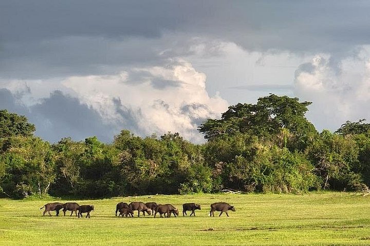 Rwanda's Only Group Safari to Akagera