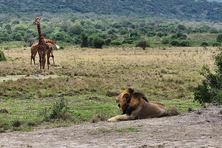 Rwanda's Only Group Safari to Akagera