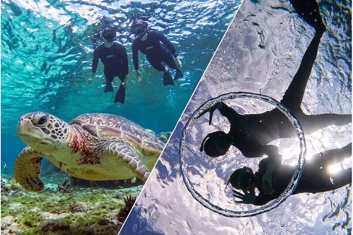Okinawa Miyako havskildpadde Snorkeling Gratis Pick up and drop off