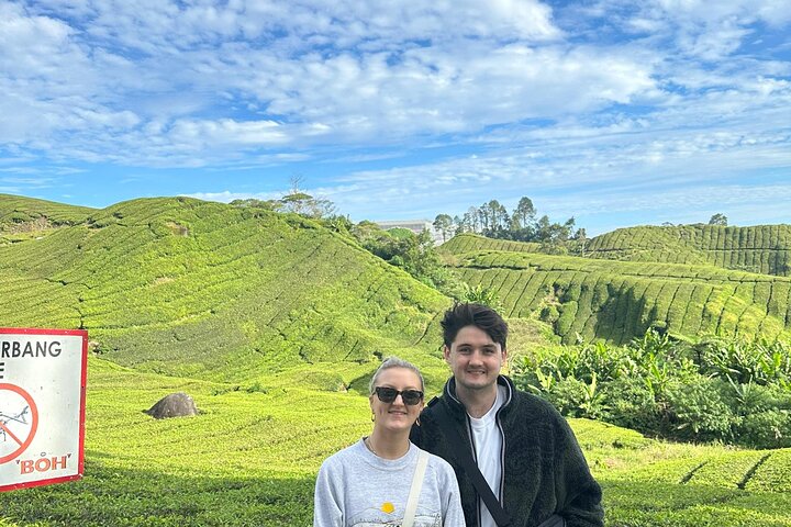 Cameron Highland Tour privato di un giorno da Ipoh