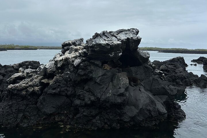 Omvisning i Cabo Rosa-tunnelene på Isabela-øya, Galapagosøyene