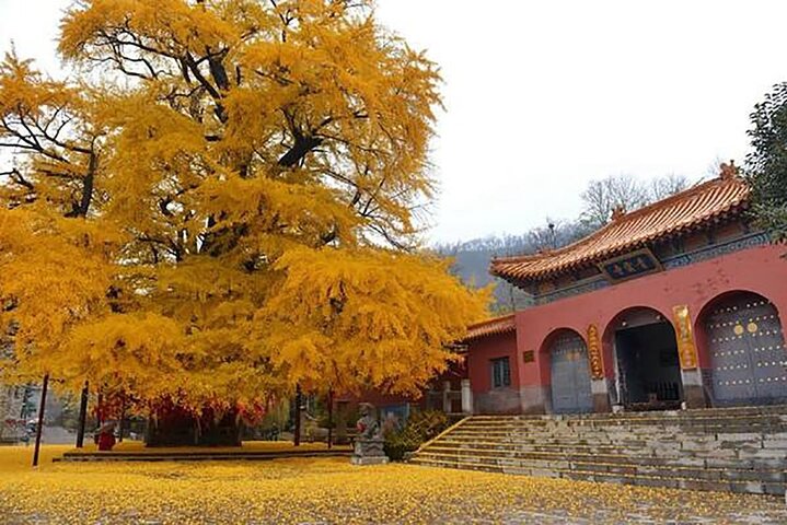 Hotell i nærheten av Luoyang Private 4WD Tour Adventure