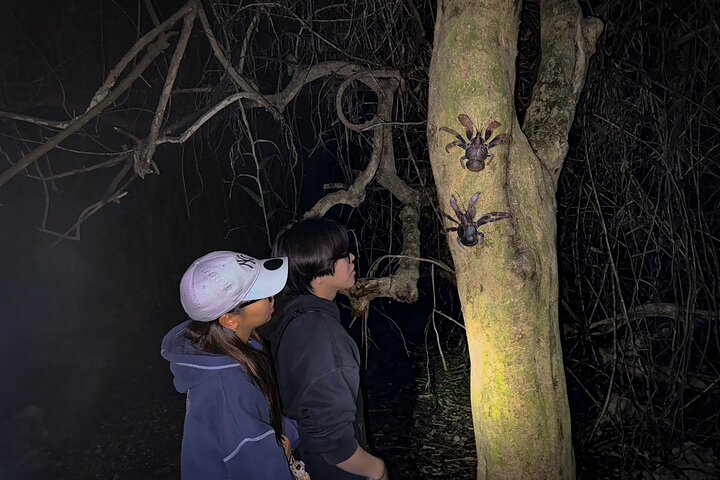Okinawa Miyako Jungle&Starry Sky Tour Kostenlose Abholung und Rückgabe