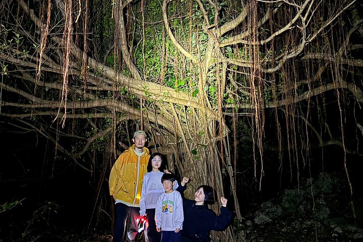 Okinawa Miyako Jungle&Starry Sky Tour Kostenlose Abholung und Rückgabe