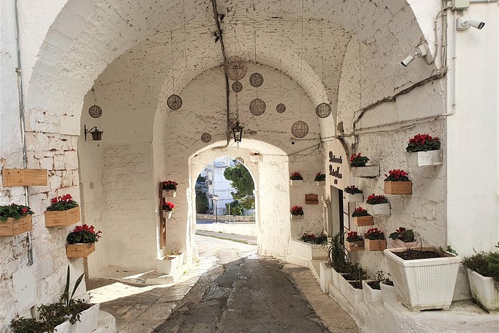 Alberobello en de omliggende dorpen: rondleiding + brunch en olijfolieproeverij