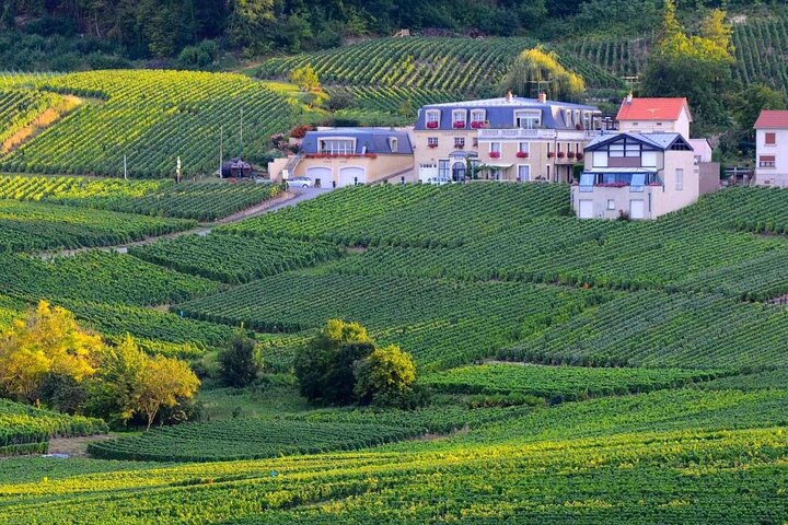 Visita di mezza giornata a Epernay South e degustazioni di champagne