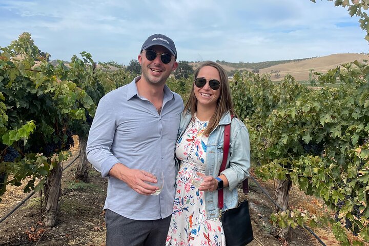 Visite du vignoble San Luis Obispo Sidecar Wine Adventure