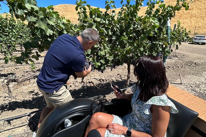 Visite du vignoble San Luis Obispo Sidecar Wine Adventure