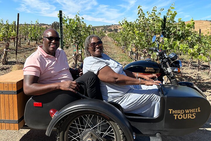 Visite panoramique du vignoble Aventure San Luis Obispo