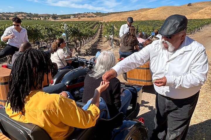 Visite panoramique du vignoble Aventure San Luis Obispo