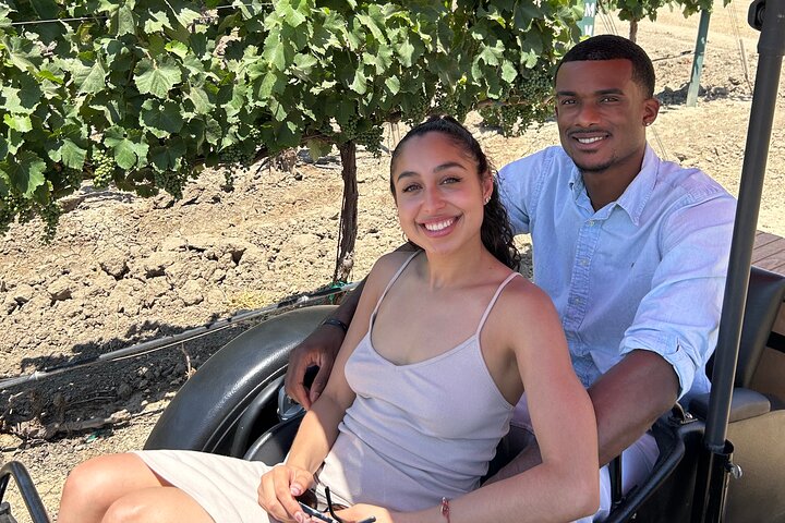 Visite panoramique du vignoble Aventure San Luis Obispo