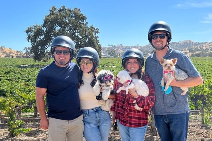 Visite panoramique du vignoble Aventure San Luis Obispo