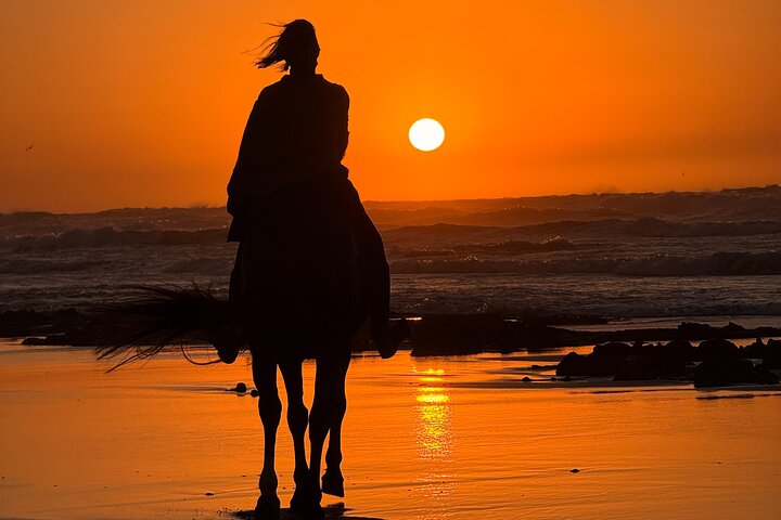 Paseos a caballo en Essaouira - Essaouira HorseRiding