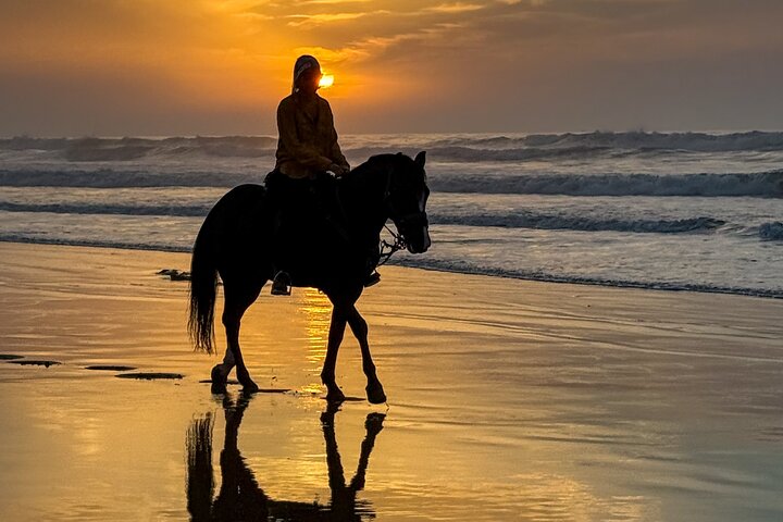 Paseos a caballo en Essaouira - Essaouira HorseRiding