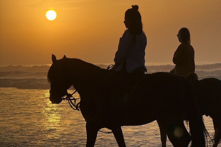 Paseos a caballo en Essaouira - Essaouira HorseRiding