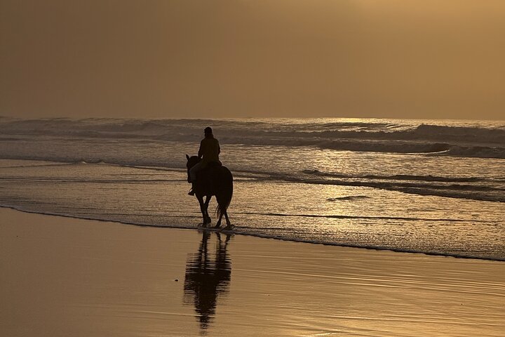 Paseos a caballo en Essaouira - Essaouira HorseRiding