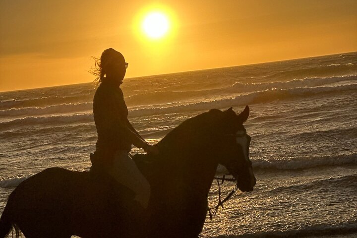 Paseos a caballo en Essaouira - Essaouira HorseRiding