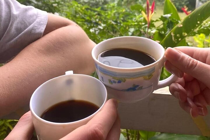 Excursão à fazenda de café a partir de Port Antonio