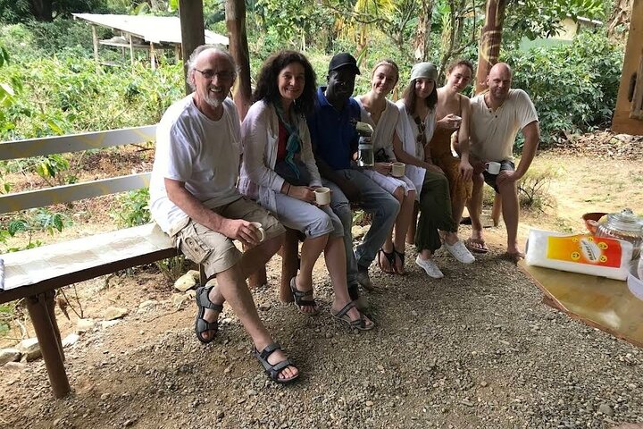 Excursão à fazenda de café a partir de Port Antonio