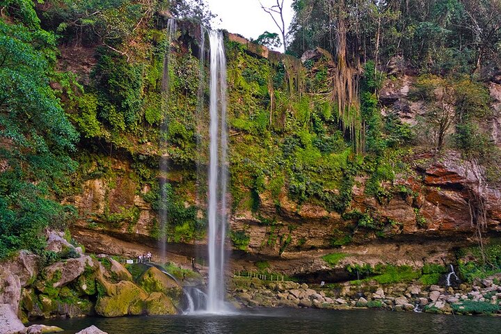 Tour di un'intera giornata alla zona archeologica di Palenque con cascate
