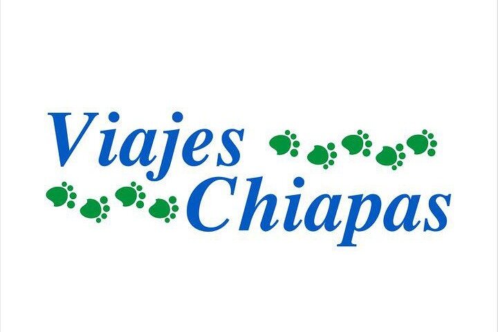 Tour di un'intera giornata alla zona archeologica di Palenque con cascate