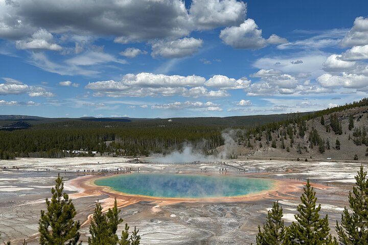 Desde Bozeman Tour clásico de Yellowstone y Teton 2 días y 1 noche