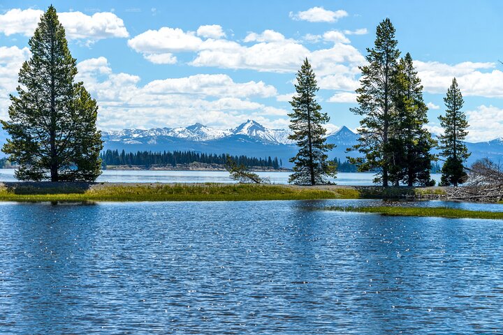 Desde Bozeman Tour clásico de Yellowstone y Teton 2 días y 1 noche