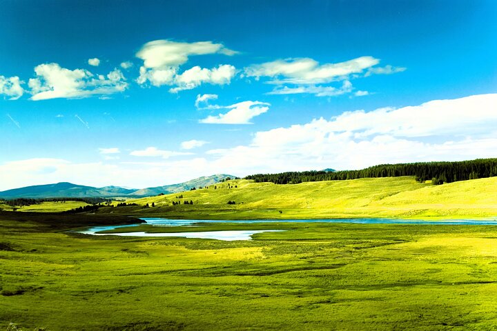 Desde Bozeman Tour clásico de Yellowstone y Teton 2 días y 1 noche