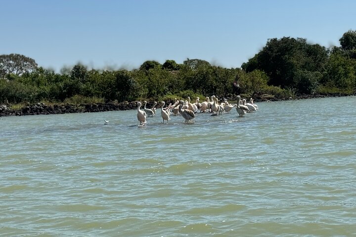 Dagstur Bahir Dar, Lake Tana og Blue Nile Falls Tours