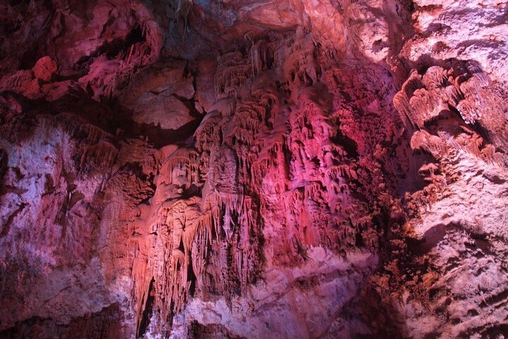 Alicante:Cuevas del Canelobre y Castillo de Busot con Guía Local