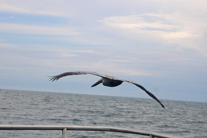 Manuel Antonio Catamaran Kryssning Sea Quest