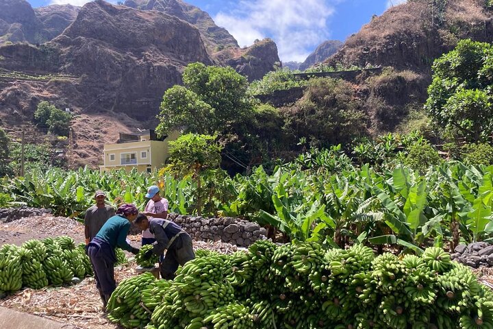 Santo Antão Points forts : Excursion d'une journée en voiture avec ferry au départ de São Vicente