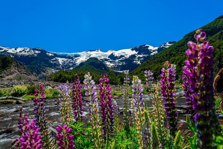Full Day Cerro Tronador: Nieves Eternas y Glaciares Colgantes