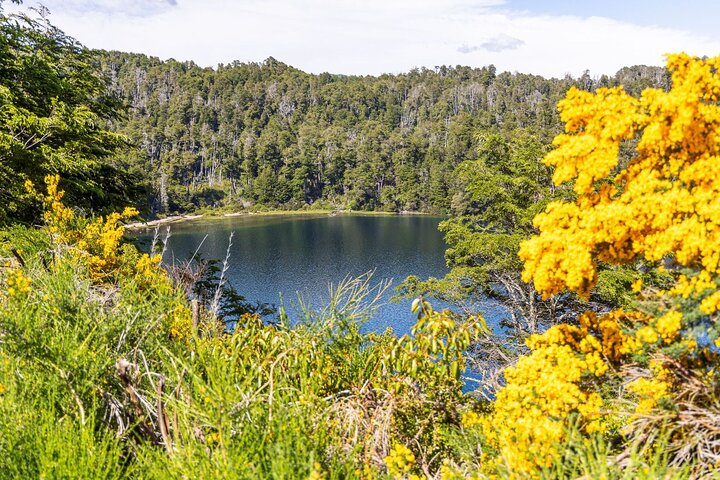 Från Bariloche: San Martín de los Andes vid The 7 Lakes Route