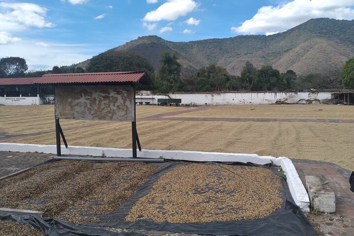 Antigua Kaffe og chokolade oplevelse fra Quetzal Havn