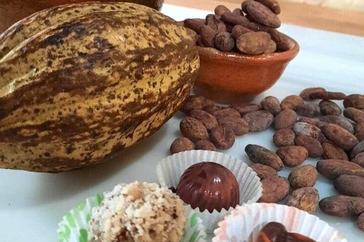 Antigua Kaffe og chokolade oplevelse fra Quetzal Havn