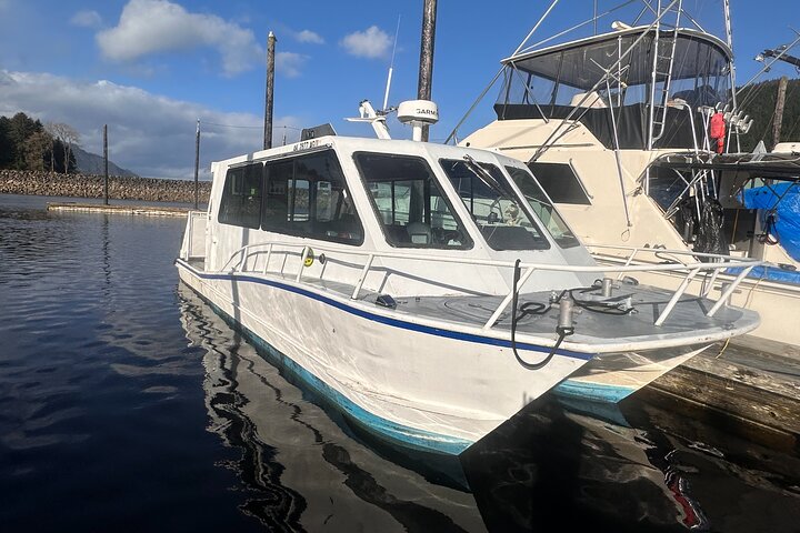 Avistamiento de ballenas, punto del estrecho helado, Hoonah