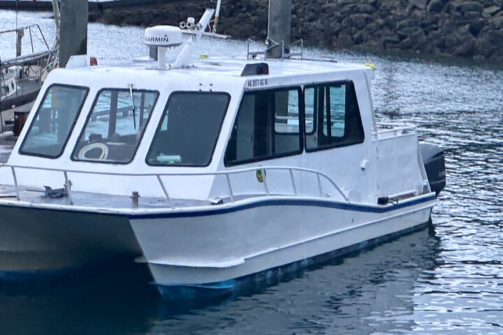 Avistamiento de ballenas, punto del estrecho helado, Hoonah